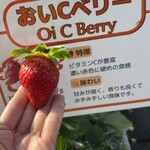 姫路ハートフル観光農園 - 