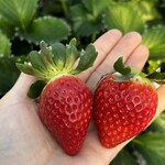 姫路ハートフル観光農園 - 