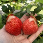 姫路ハートフル観光農園 - 