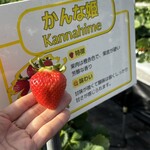 姫路ハートフル観光農園 - 