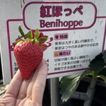 姫路ハートフル観光農園 - 