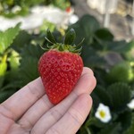 姫路ハートフル観光農園 - 