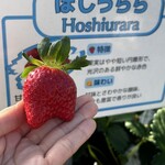 姫路ハートフル観光農園 - 