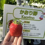 姫路ハートフル観光農園 - 