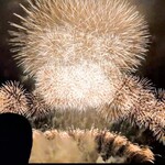 炉端焼き燻銀 - 