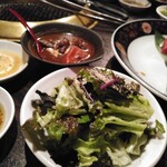 SATOブリアン - サラダ