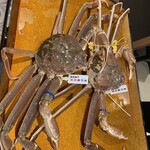 まるさん屋 敦賀駅前 - 