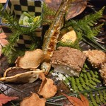 青蓮院門跡前 月おか - 