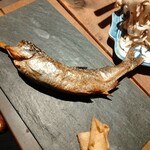 フォレスト商会 - 