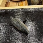 松寿司 たにがわ - 