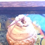 ル ジャルダン - 