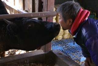 h Sumiyaki Shokunin - お肉になる前の牛とも仲良しです