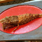 寿司栄 - 金沢でも高級料亭にしか入らないというししエビ。初めてたべました。