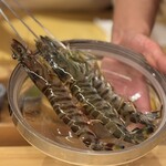 鮨よしかわ 勝 - 