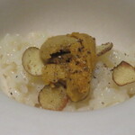 SAISON - にじのきらめき