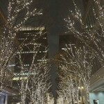 丸の内仲通りのイルミネーション