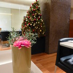 ブルガリ イル・カフェ - 2014年12月店内のXmasツリー♪