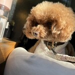 大衆食堂みゆき - 日当たり良い方のテラス席