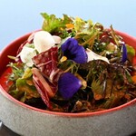 KEI Collection PARIS - ORGANIC SALAD, BALSAMIC DRESSING 有機野菜のサラダバルサミコヴィネグレット　900円　　