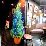 北極星 - クリスマスツリーを記念にパチリ！