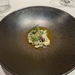 ピアッティ カステリーナ - 