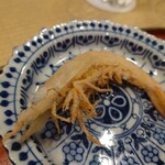 道後 海舟 - シラサエビ