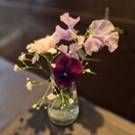 ピーチェリーノ - 