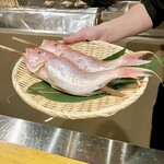 炉ノ鳥 - 新鮮なイトヨリダイ