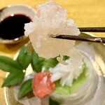 炉ノ鳥 - 〈伊勢海老のお刺身〉