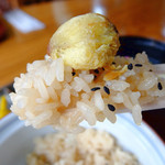 Chisha no ki - 栗は勿論津和野産、ご飯は何と蕎麦つゆ炊き