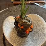 カシュ カシュ - 