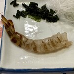 ししくい - 車海老