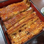 Kawachiya - 愛知縣三河一色產的鰻魚