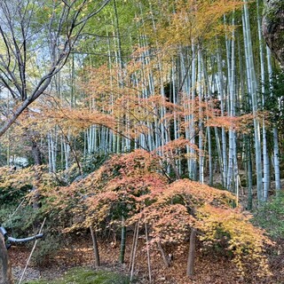 高台寺雲居庵_1