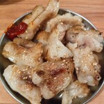 スタンドトトノイ - キクアブラ