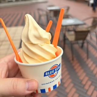 ブルーシール_0