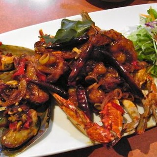 ディーディー_0