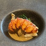 カシュ カシュ - 