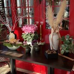 カシュ カシュ - 