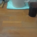 中華食堂 秋 - 中華食堂 秋さま)251130注文待ち