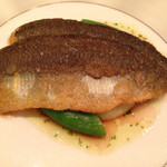 ラシェリール - 