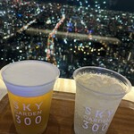 SKY GARDEN 300 - 