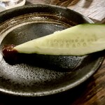 高山商店 - きゅうりはカロリー低いし良いよね