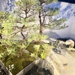 400℃ PIZZA - 中庭