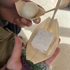 菓子舗 井村屋