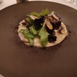 アルヴァ(アマン東京) - 