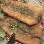 フィーコディンディア - 