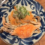 欲張りバル CANTINA 水道橋西口店 - 