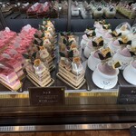 レタンプリュス - 