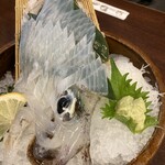 呼子活イカ さかなや道場 - 